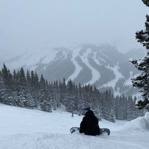 Meet your Posher, Cameron